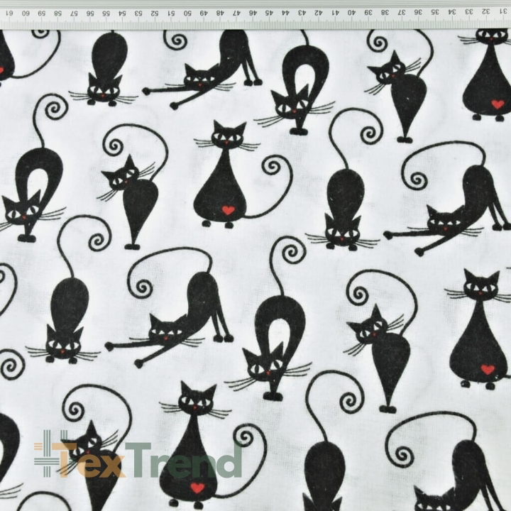 Flanell Kätzchen auf weißem Hintergrund  