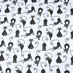 Flanell Kätzchen auf weißem Hintergrund  