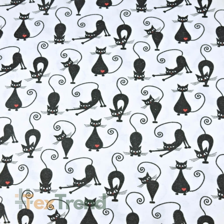 Flanell Kätzchen auf weißem Hintergrund  