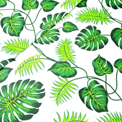 Baumwolle 100% grüne Blätter auf weißem Hintergrund.  