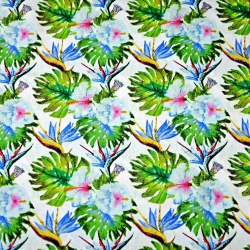 Baumwolle 100% Monstera-Blätter mit blauen Blumen auf weißem Hintergrund  