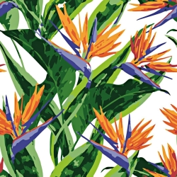 Baumwolle 100% Blumen Strelitzien auf weißem Hintergrund  