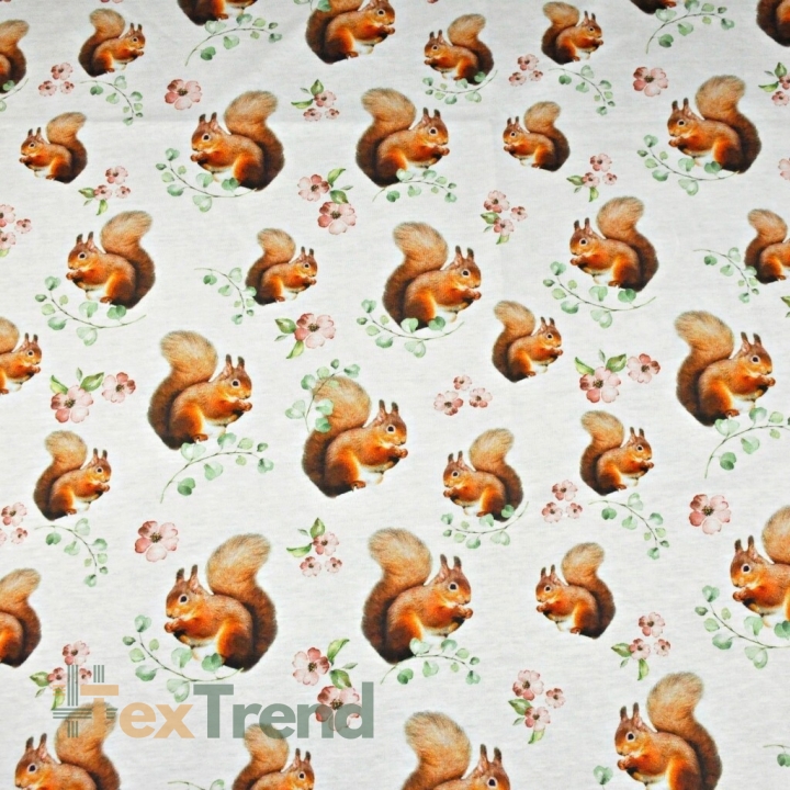 Jersey-Stoff Digitaldruck - Eichhörnchen auf weißem Hintergrund  