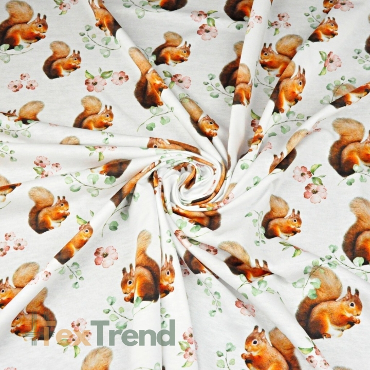Jersey-Stoff Digitaldruck - Eichhörnchen auf weißem Hintergrund  
