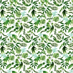 Baumwolle 100% grüner Hain auf weißem Hintergrund  