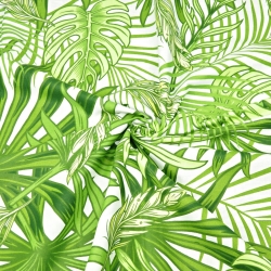 Baumwolle 100% grüne Palm- und Monstera-Blätter auf weißem Hintergrund  