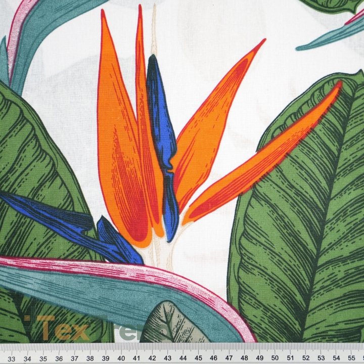 100% Baumwolle Strelitzien auf weißem Hintergrund - 220 cm  