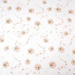 Baumwolle 100% Löwenzahn beige auf weißem Hintergrund  