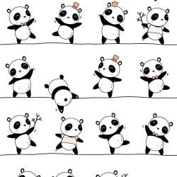 Baumwolle 100% tanzende Pandas auf weißem Hintergrund.  