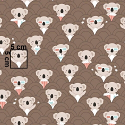 Baumwolle 100% Koalabären im Kino auf braunem Hintergrund  