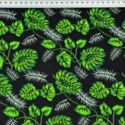 Baumwolle 100% - kleine grüne Monstera-Blätter auf schwarzem Hintergrund  