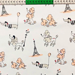 Baumwolle 100% Apricot Paris auf weißem Hintergrund  