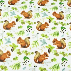 100% Baumwolle Eichhörnchen mit Tannenzapfen auf weißem Hintergrund  