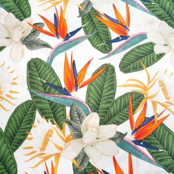 100% Baumwolle Strelitzien auf weißem Hintergrund - 220 cm  
