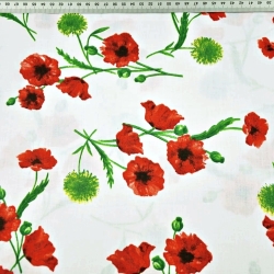 Baumwolle 100% Mohnblumen und Disteln auf weißem Hintergrund - 220cm  