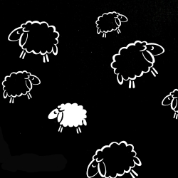 Baumwolle 100% Schafe Umrisse weiß auf schwarzem Hintergrund  