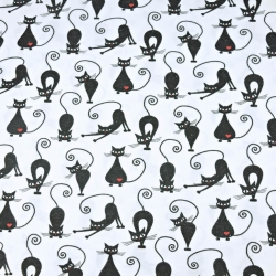 Flanell Kätzchen auf weißem Hintergrund  