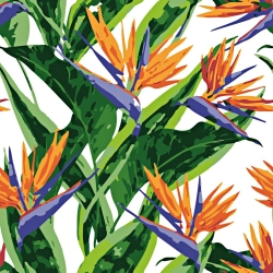 Baumwolle 100% Blumen Strelitzien auf weißem Hintergrund  