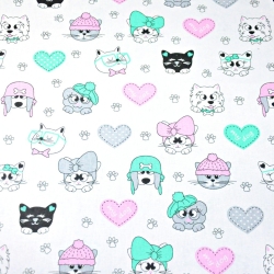 Baumwolle 100% rosa-mintfarbene Lieblinge auf weißem Hintergrund  