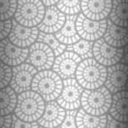 Baumwolle 100% geometrische Rosette weiß auf grauem Hintergrund  