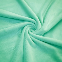 Minky glatt Premium mint (Beach Glass)  