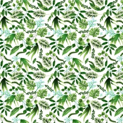 Baumwolle 100% grüner Hain auf weißem Hintergrund  