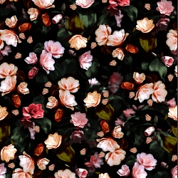 Jersey-Stoff digitaler Druck Rosen auf schwarzem Hintergrund  