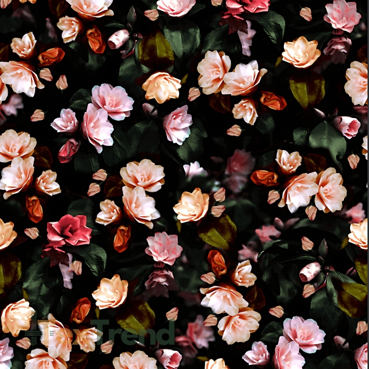 Jersey-Stoff digitaler Druck Rosen auf schwarzem Hintergrund  