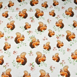 Jersey-Stoff Digitaldruck - Eichhörnchen auf weißem Hintergrund  