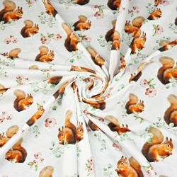 Jersey-Stoff Digitaldruck - Eichhörnchen auf weißem Hintergrund  