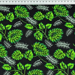 Baumwolle 100% - kleine grüne Monstera-Blätter auf schwarzem Hintergrund  