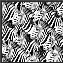 Jersey Stoff Digitaldruck Zebras schwarz-weiß  