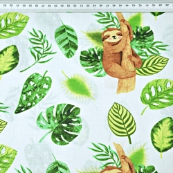 Baumwolle 100% Faultiere mit grünen Blättern auf weißem Hintergrund  
