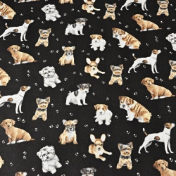 Baumwolle 100% Hunde beige-weiß auf schwarzem Hintergrund  