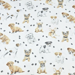 Baumwolle 100% Hunde beige-weiß auf weißem Hintergrund  