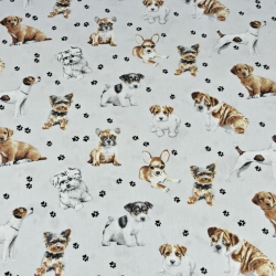 Baumwolle 100% Hunde beige-weiß auf hellgrauem Hintergrund  