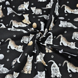 Baumwolle 100% beige-weiße Katzen auf schwarzem Hintergrund  