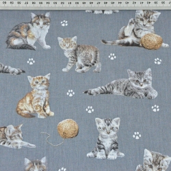 Baumwolle 100% beige-weiße Katzen auf dunkelgrauem Hintergrund  