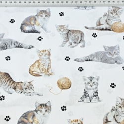 Baumwolle 100% beige-weiße Katzen auf weißem Hintergrund  