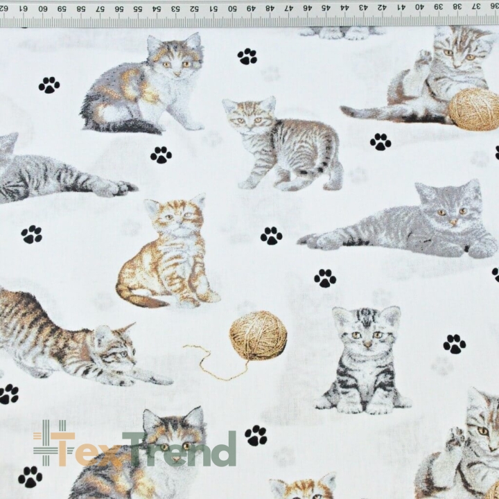 Baumwolle 100% beige-weiße Katzen auf weißem Hintergrund  