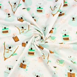 Baumwolle 100% Koala-Bären mint in der Bibliothek auf weißem Hintergrund  