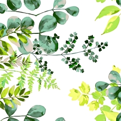 Baumwolle 100% Eukalyptusblätter grün auf weißem Hintergrund - 220cm  