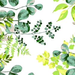Baumwolle 100% Eukalyptusblätter grün auf weißem Hintergrund - 220cm  