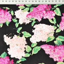 Baumwolle 100% Fliederblüten rosa-fuchsia auf schwarzem Hintergrund  