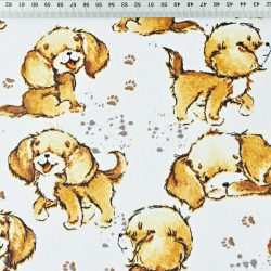 Baumwolle 100% beige Hunde auf weißem Hintergrund  