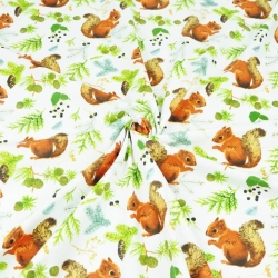 100% Baumwolle Eichhörnchen mit Tannenzapfen auf weißem Hintergrund  