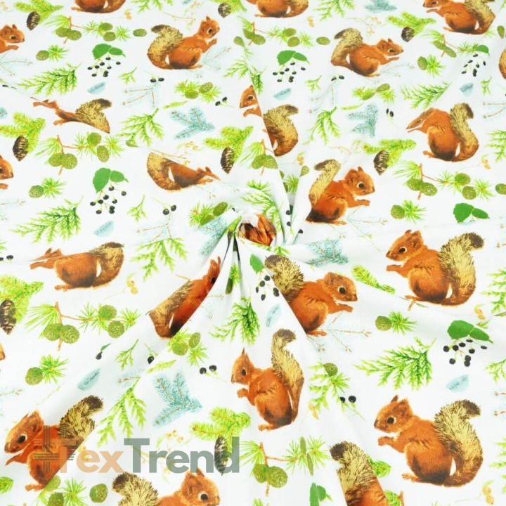 100% Baumwolle Eichhörnchen mit Tannenzapfen auf weißem Hintergrund  