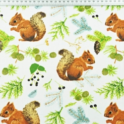 100% Baumwolle Eichhörnchen mit Tannenzapfen auf weißem Hintergrund  