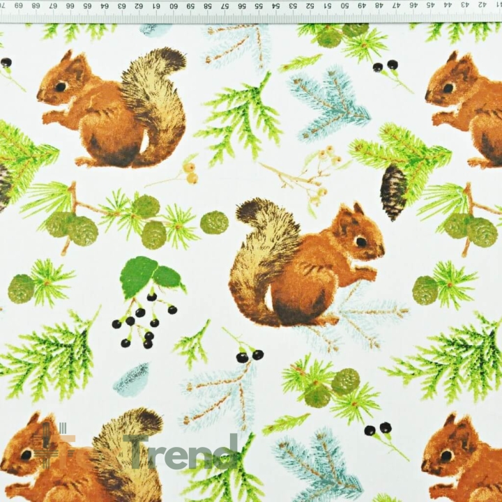 100% Baumwolle Eichhörnchen mit Tannenzapfen auf weißem Hintergrund  