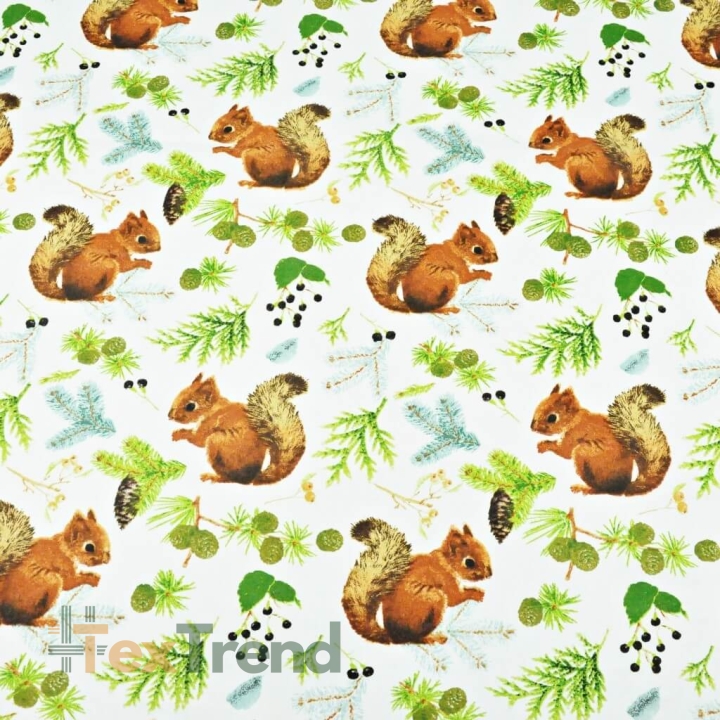 100% Baumwolle Eichhörnchen mit Tannenzapfen auf weißem Hintergrund  